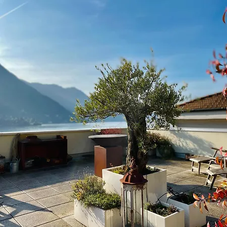 La Terrazza Dell'ulivo Lägenhet *